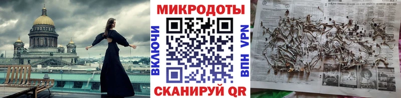 Псилоцибиновые грибы Cubensis  Купить где  Аша 